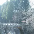 二俣橋の写真_251124