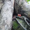 福浦橋の写真_251278