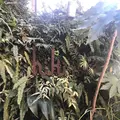 hiki cafe（ヒキカフェ）の写真_251305