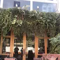 hiki cafe（ヒキカフェ）の写真_251306