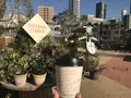 Little Darling Coffee Roasters（リトル ダーリン コーヒー ロースターズ）の写真_251308
