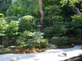二尊院の写真_251627