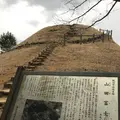 山田富士公園の写真_252236