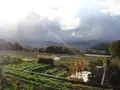修学院離宮の写真_25262