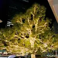 名古屋駅の写真_252633