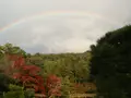 修学院離宮の写真_25267