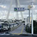 漫湖の写真_252688