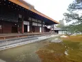 妙心寺の写真_252995