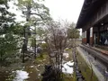 天球院の写真_252999