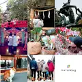 龍宮神の写真_253010