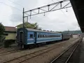 大井川鐵道　SL列車の写真_253064