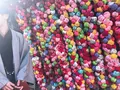 八坂庚申堂の写真_253170