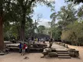 Ta Prohm（タ・プローム）の写真_253244
