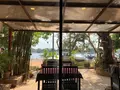 The Palmboo Restaurantの写真_253249