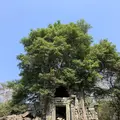 Beng Mealea（ベン・メリア）の写真_253254