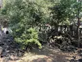 Beng Mealea（ベン・メリア）の写真_253261