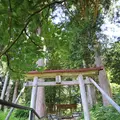 鎌倉神社の写真_253281