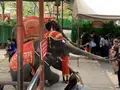 アユタヤ・エレファント・キャンプの写真_253432