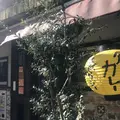 ロダンの写真_253620