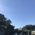 皇居の写真_253622