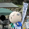 浜松城の写真_253632