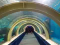 浅虫水族館の写真_25364