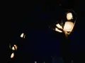 【閉業】白樺の丘の写真_253668