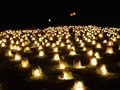 【閉業】白樺の丘の写真_253669