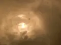 【閉業】白樺の丘の写真_253673