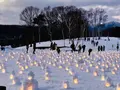 【閉業】白樺の丘の写真_253675