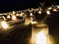 【閉業】白樺の丘の写真_253676