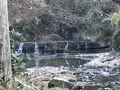黒滝の写真_253766