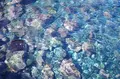 秋の浜遊泳場の写真_254007