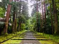平泉寺白山神社の写真_254197