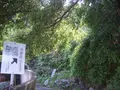 沼島の写真_254410