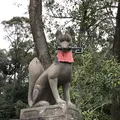 伏見稲荷大社の写真_254652
