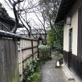 圓徳院の写真_254781