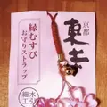 東寺（教王護国寺）の写真_254815