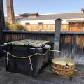 月桂冠大倉記念館の写真_254834
