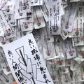 安井金比羅宮の写真_254885