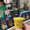 パームの写真_254911