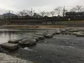 鴨川デルタの写真_254933