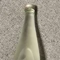 伏見夢百衆の写真_255067