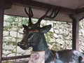 吉田神社の写真_255370