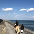 シーガイア乗馬クラブＵＭＡＩＲＵの写真_255476
