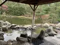 松泉宮の写真_255496