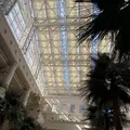 シェラトン・グランデ・オーシャンリゾート - Sheraton Grande Ocean Resortの写真_255543
