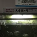 白池地獄の写真_256014