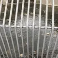 鬼山地獄の写真_256018
