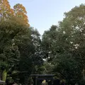 宮崎神宮の写真_256155
